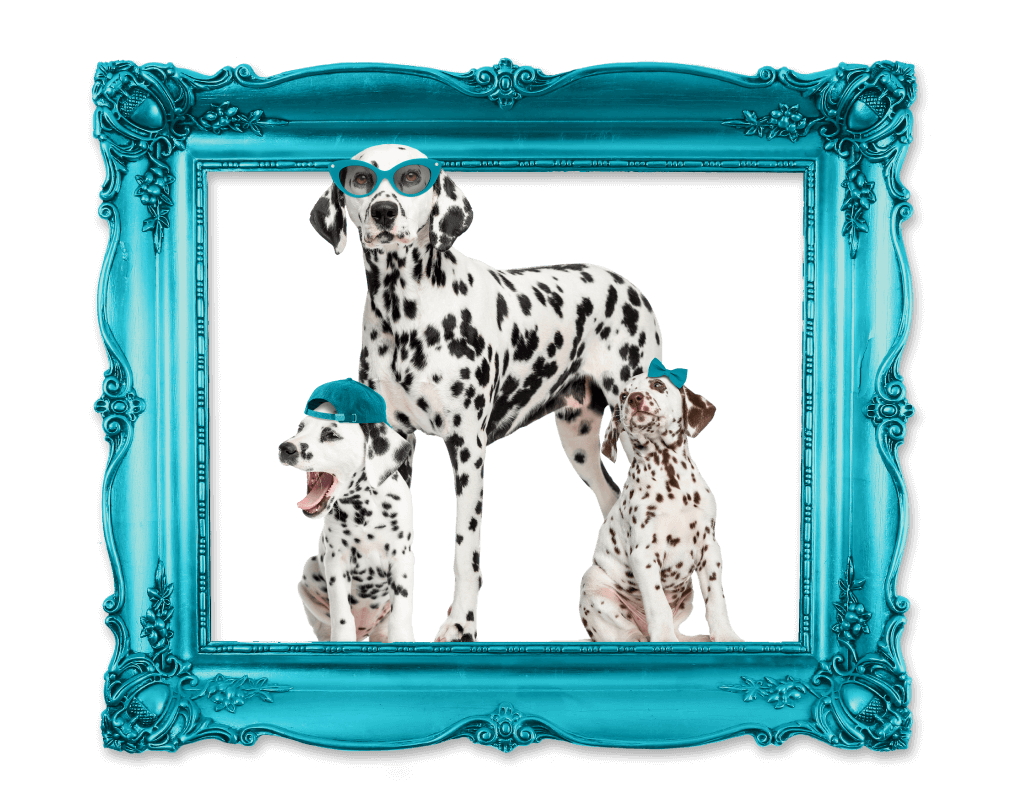 Personal law family