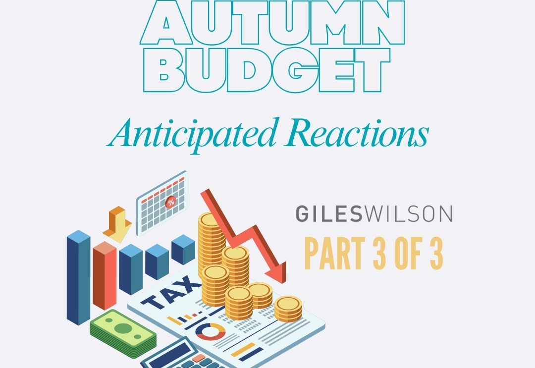 BLOG 3 WEBSITE IMAGE