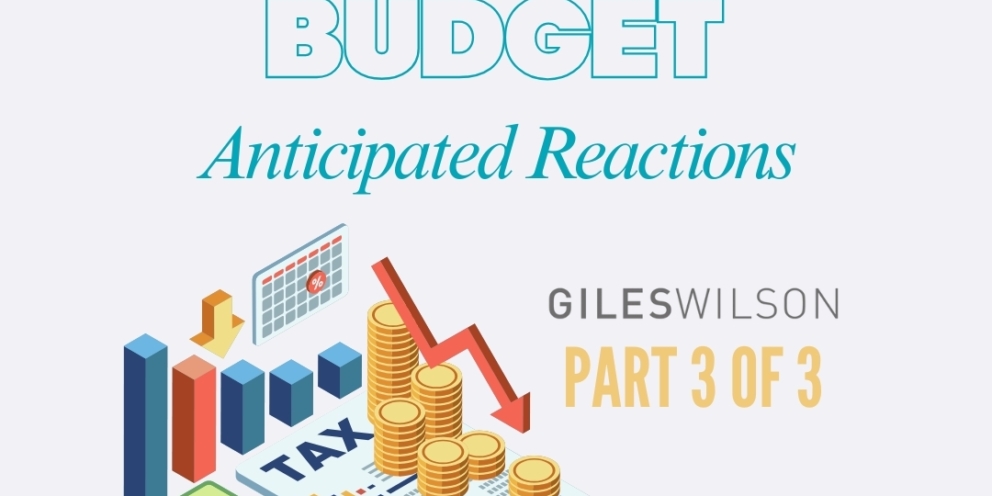 BLOG 3 WEBSITE IMAGE