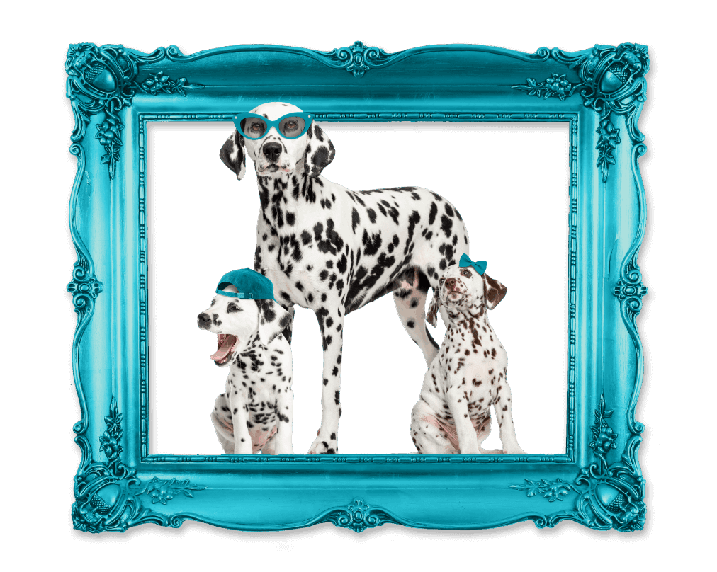 Personal law family